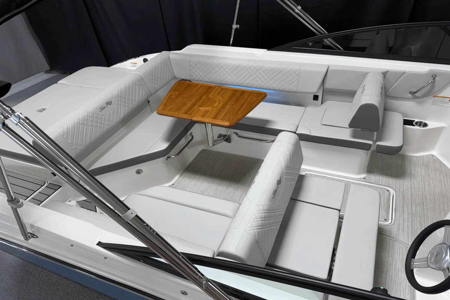 2025 Sea Ray 250 SDX Image Thumbnail #10