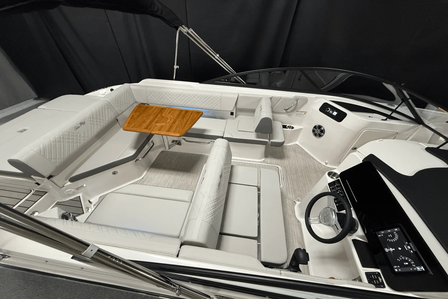 2025 Sea Ray 250 SDX Image Thumbnail #9