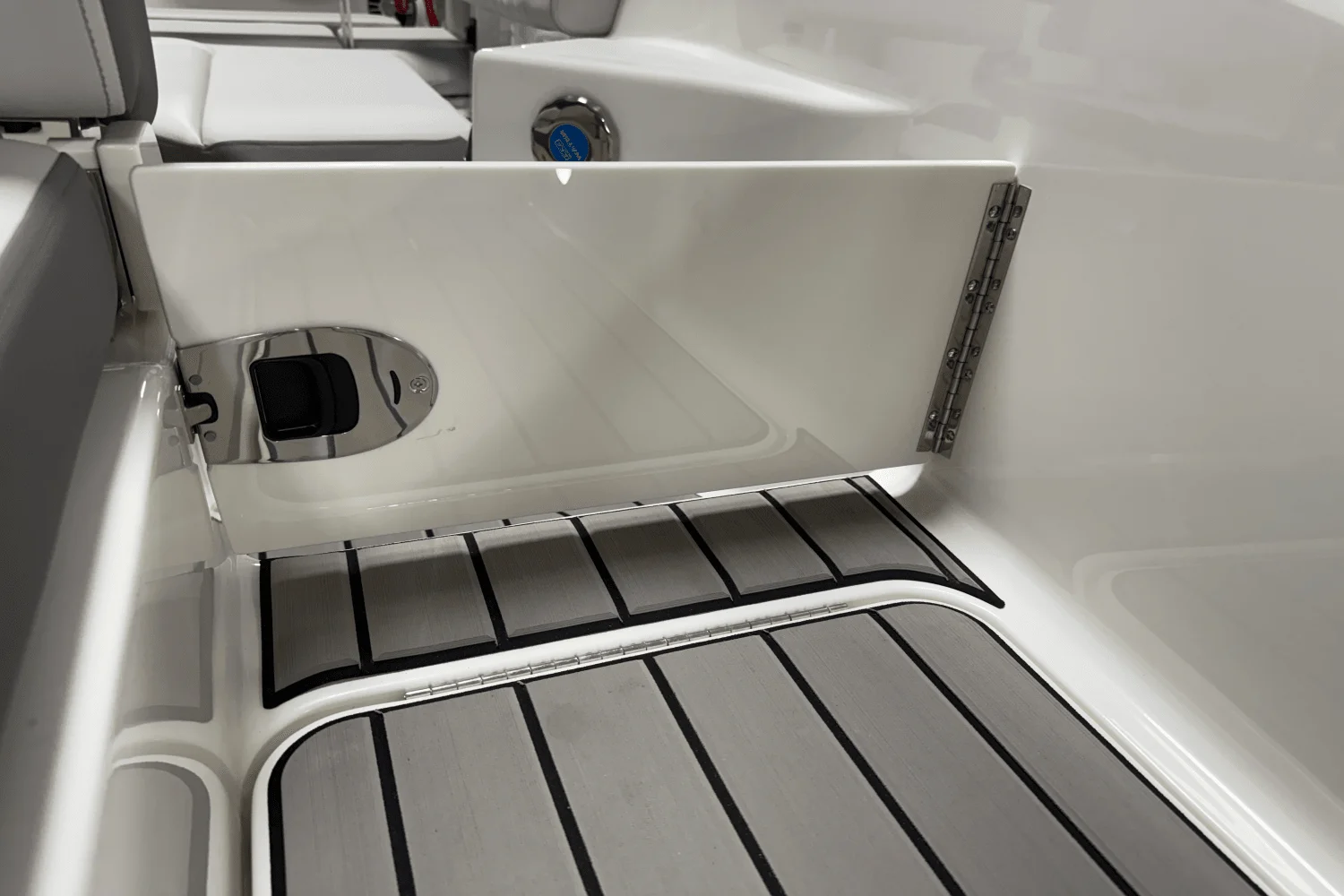 2025 Sea Ray 250 SDX Image Thumbnail #30