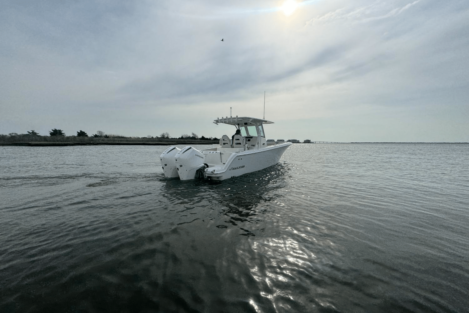 2025 Sailfish 272 CC Image Thumbnail #10