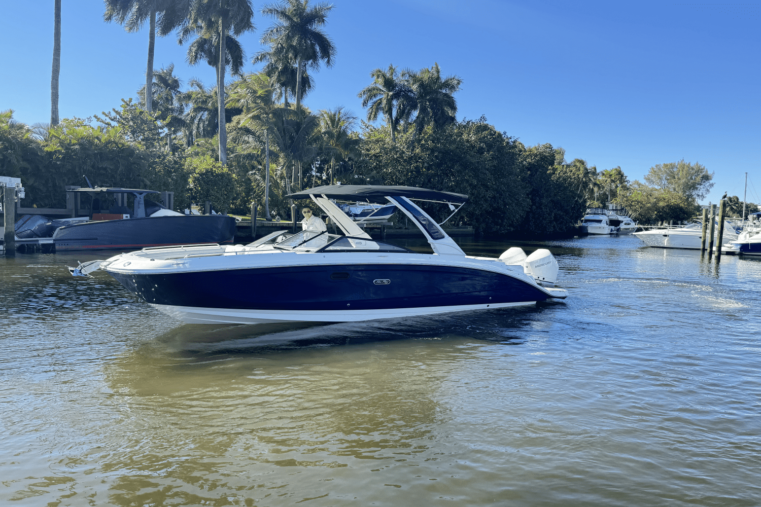 2025 Sea Ray SDX 290 Outboard Image Thumbnail #2