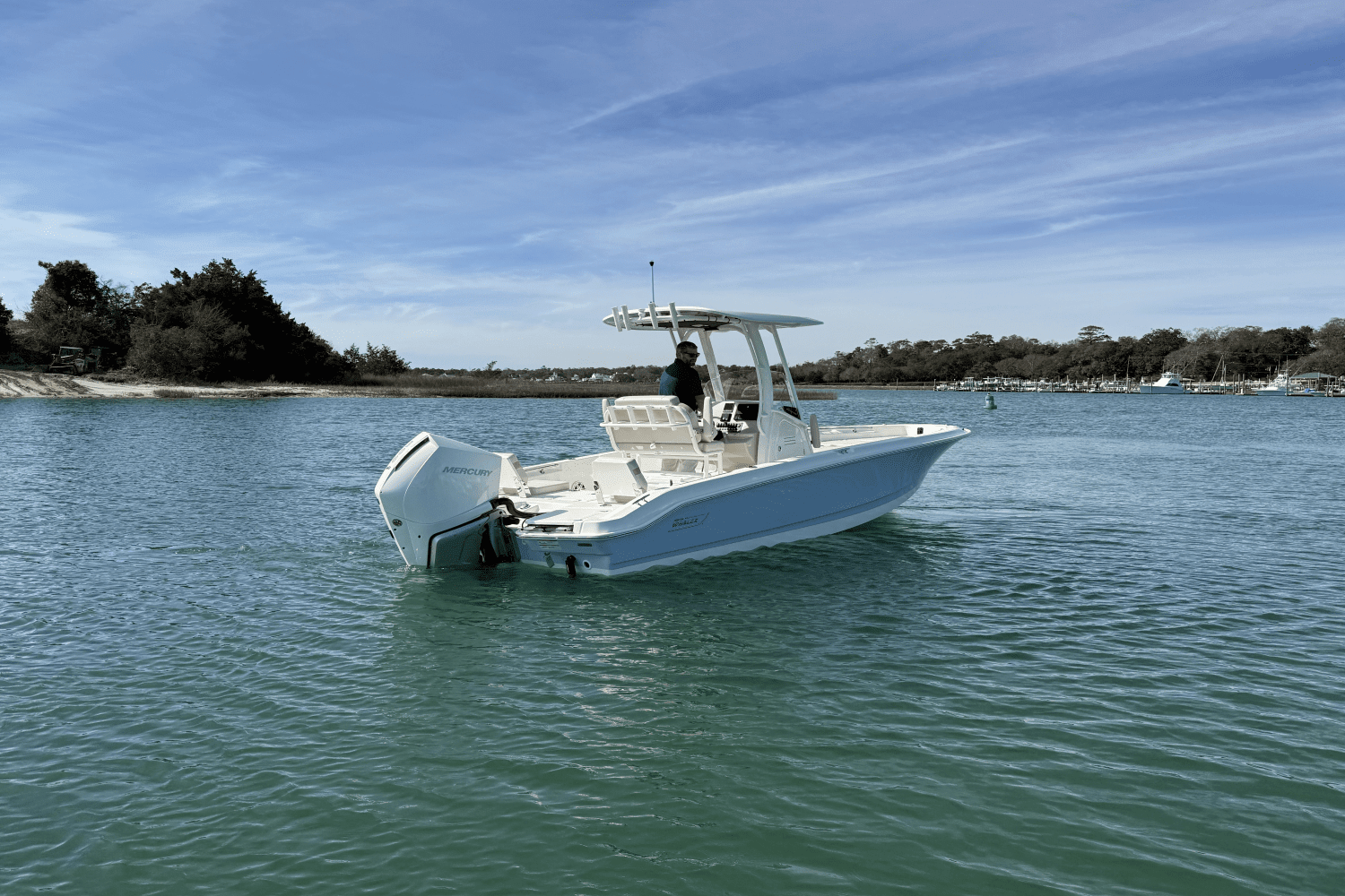 2025 Boston Whaler 250 Dauntless Image Thumbnail #2