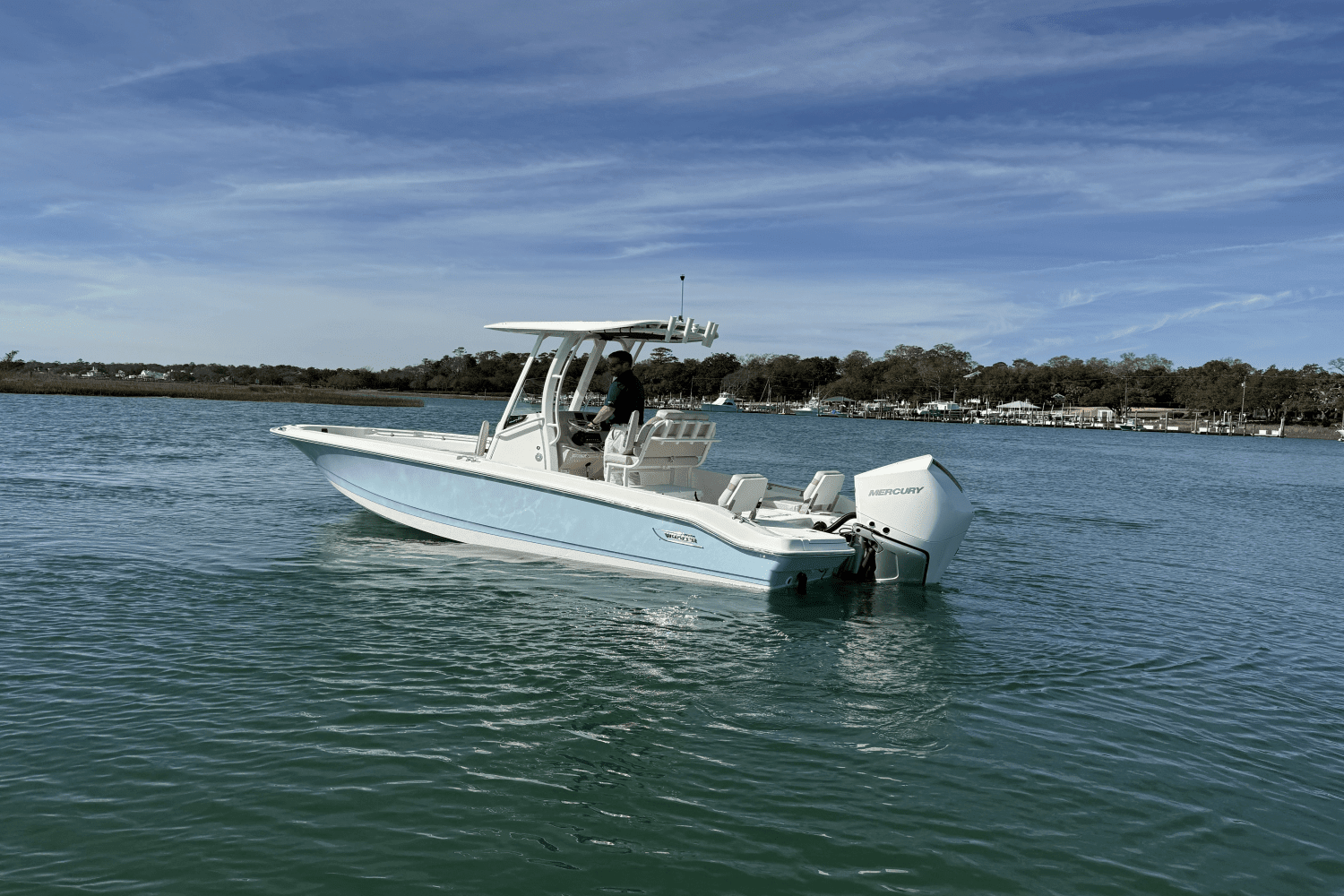 2025 Boston Whaler 250 Dauntless Image Thumbnail #5