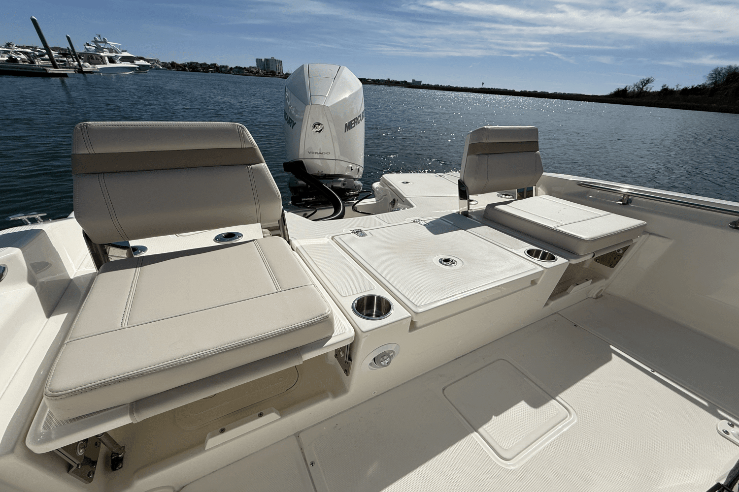 2025 Boston Whaler 250 Dauntless Image Thumbnail #8