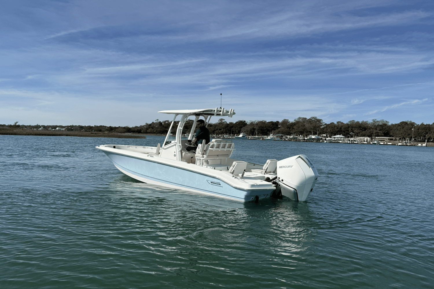 2025 Boston Whaler 250 Dauntless Image Thumbnail #4