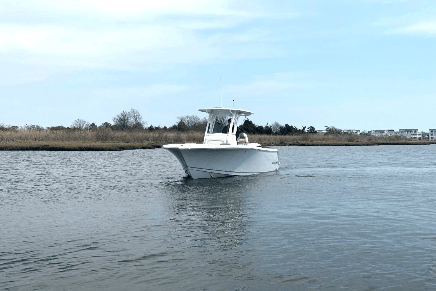 2025 Sailfish 241 CC Image Thumbnail #13