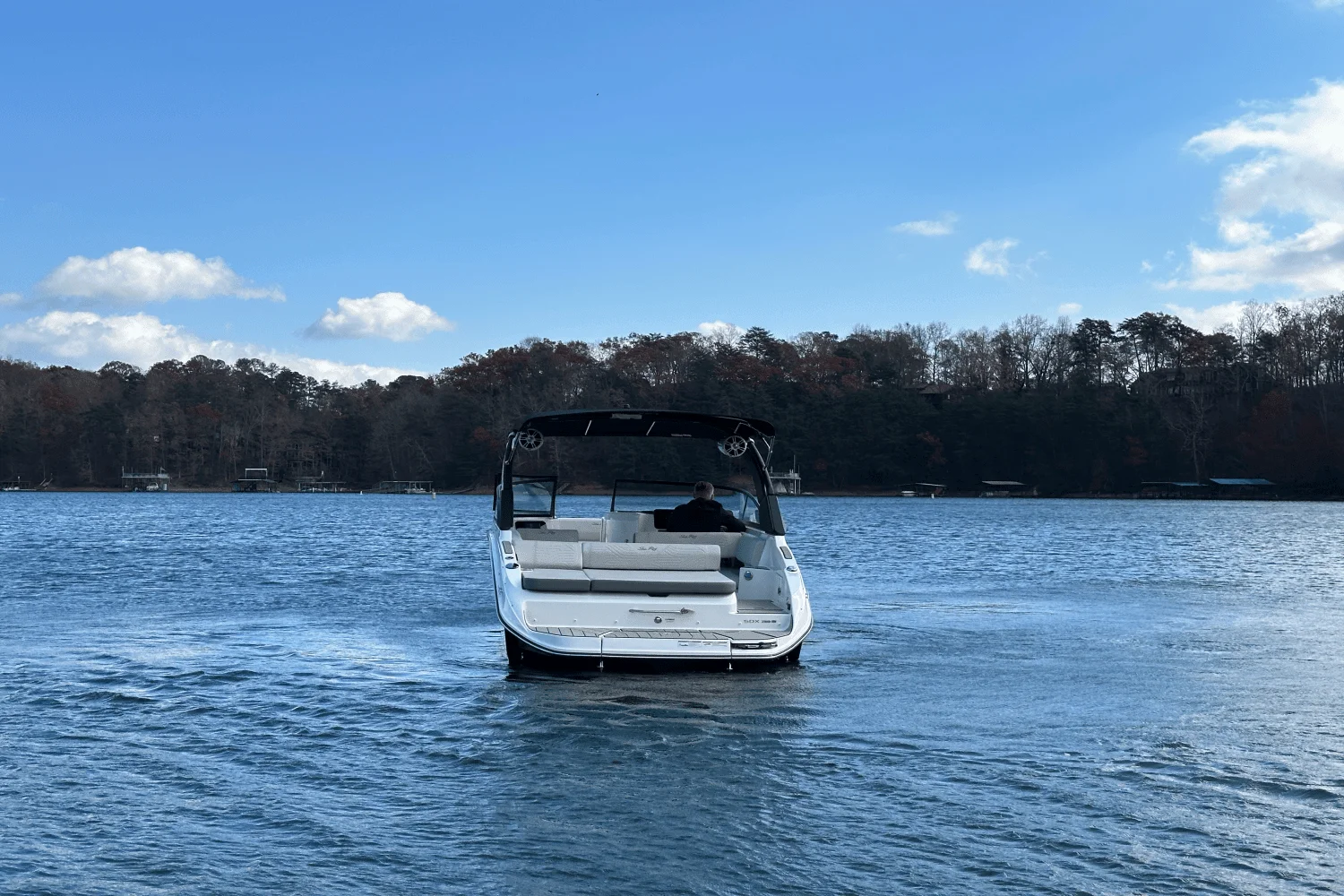 2025 Sea Ray SDX 250 Surf Image Thumbnail #3