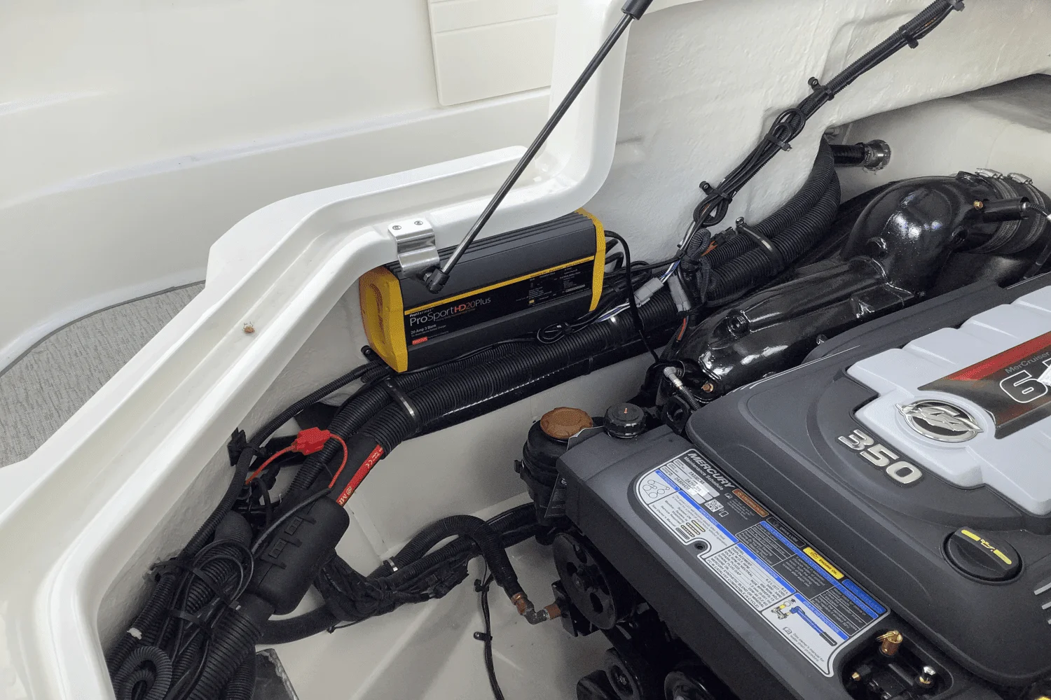 2025 Sea Ray SLX 260 Image Thumbnail #9