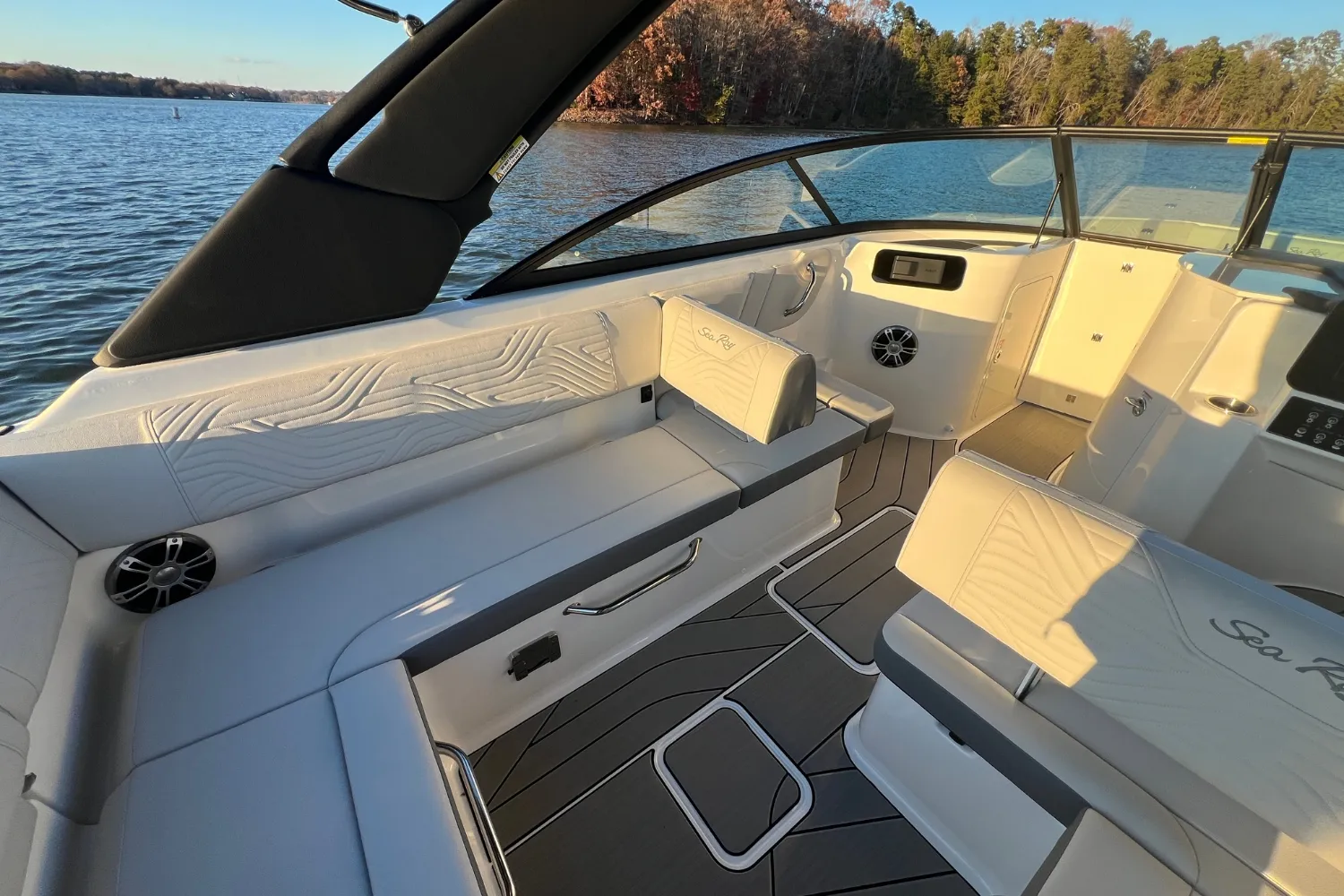 2025 Sea Ray SDX 250 Surf Image Thumbnail #12