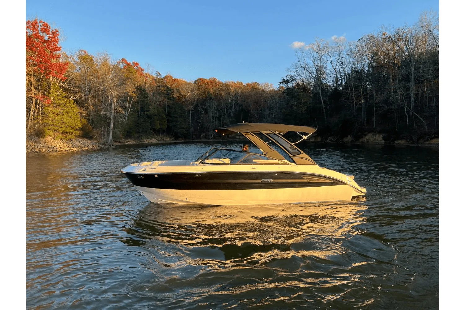 2025 Sea Ray SDX 250 Surf Image Thumbnail #11
