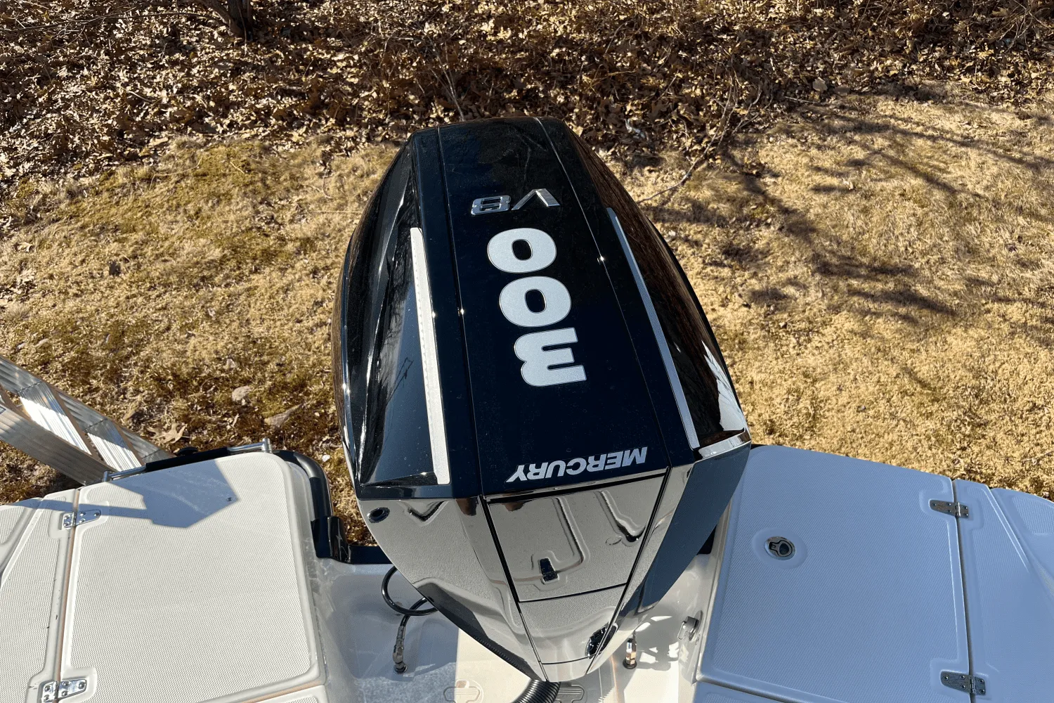 2025 Boston Whaler 250 Dauntless Image Thumbnail #4