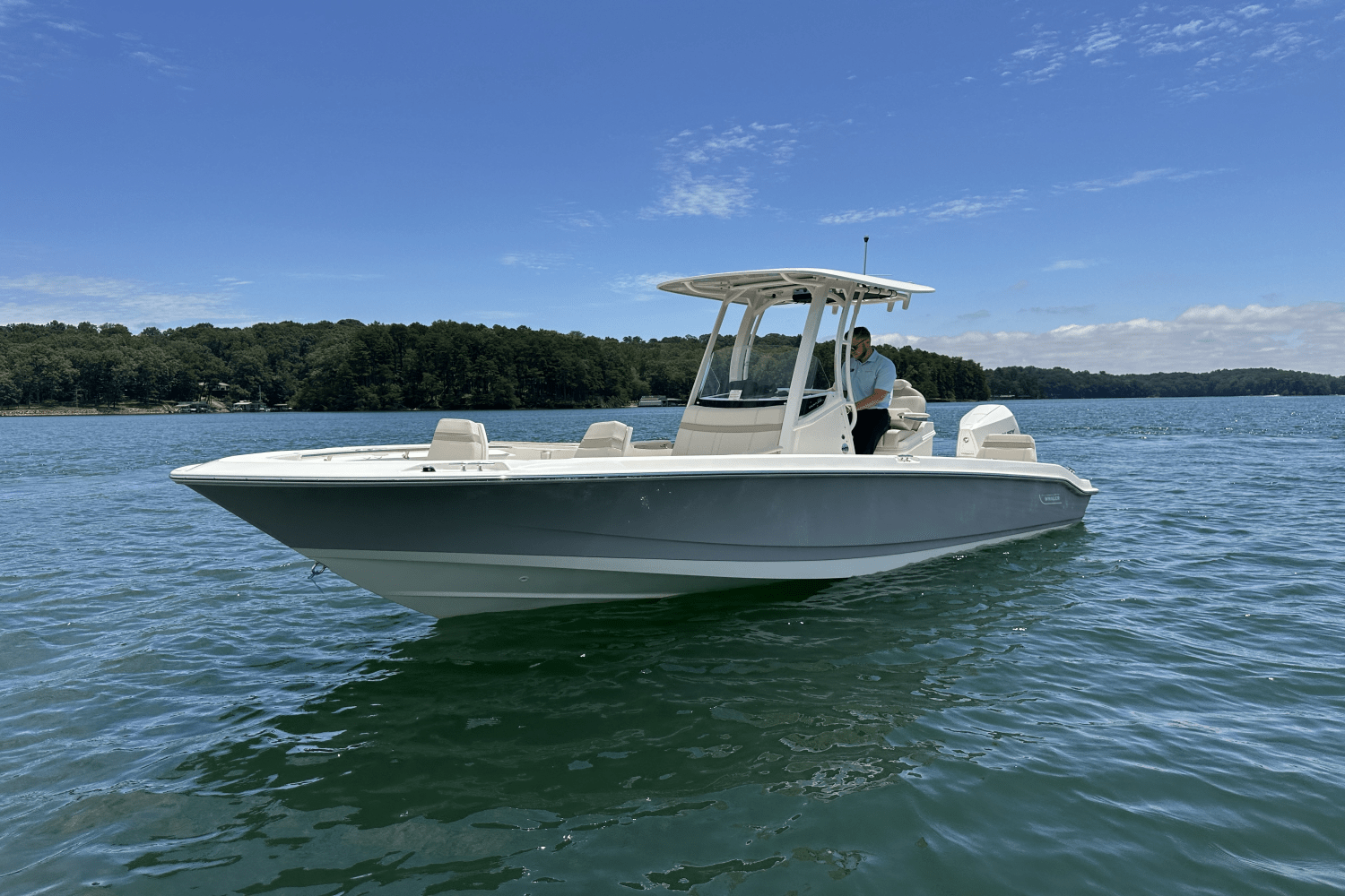 2025 Boston Whaler 250 Dauntless Image Thumbnail #2