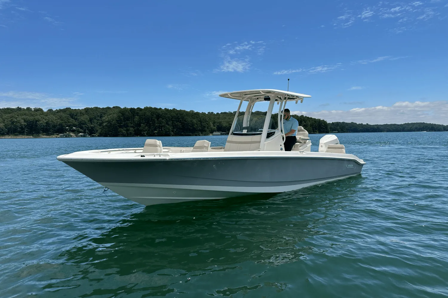 2025 Boston Whaler 250 Dauntless Image Thumbnail #2