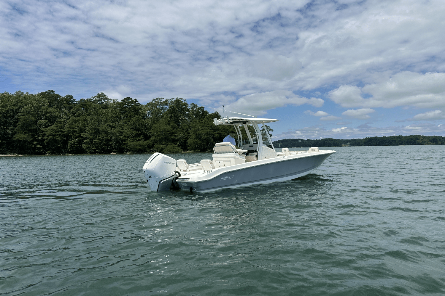 2025 Boston Whaler 250 Dauntless Image Thumbnail #9