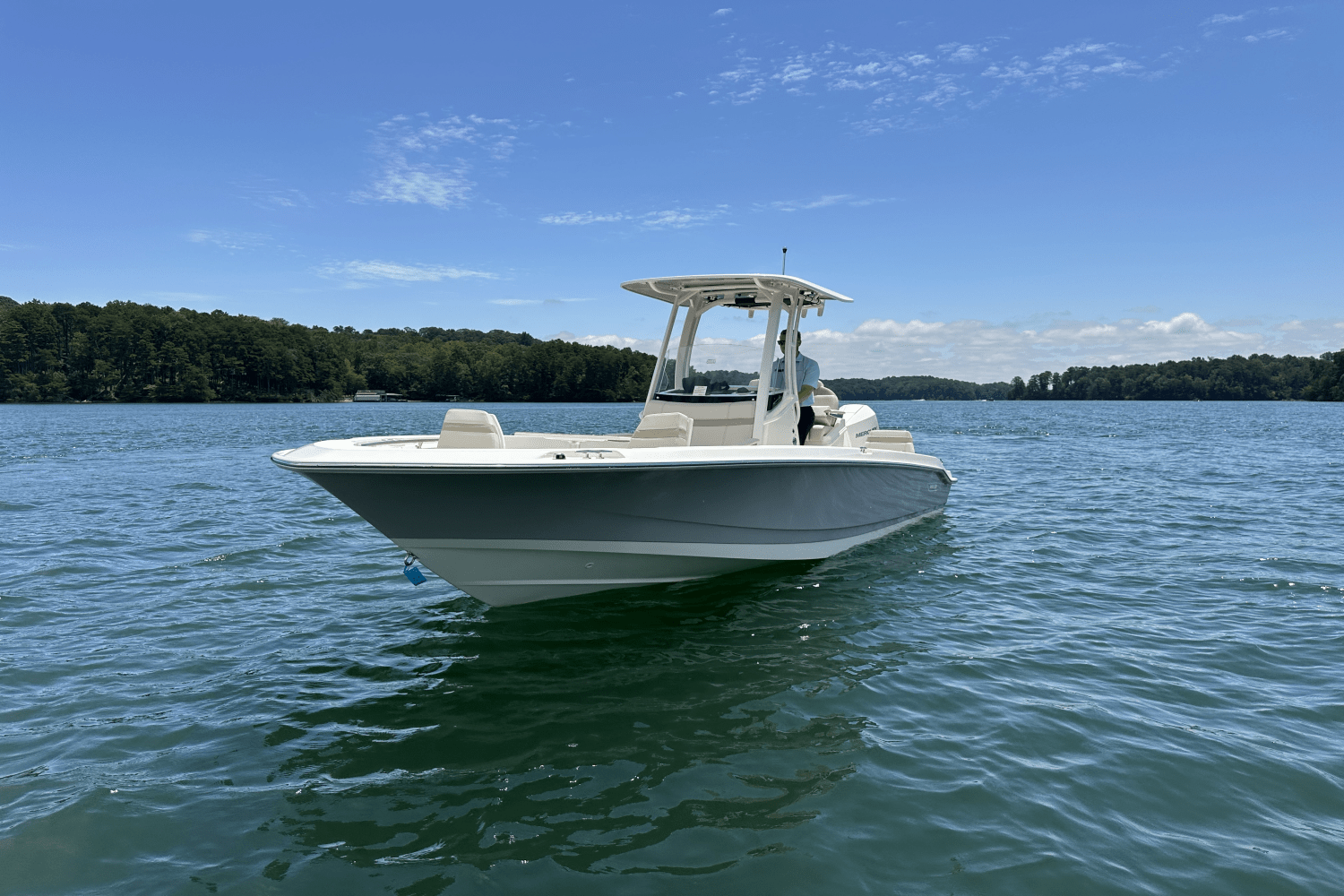 2025 Boston Whaler 250 Dauntless Image Thumbnail #3
