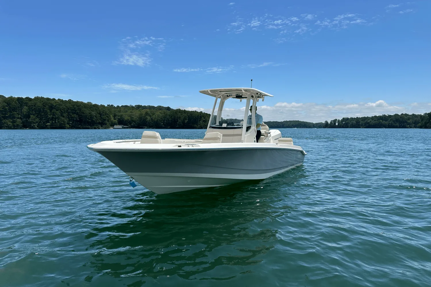 2025 Boston Whaler 250 Dauntless Image Thumbnail #3