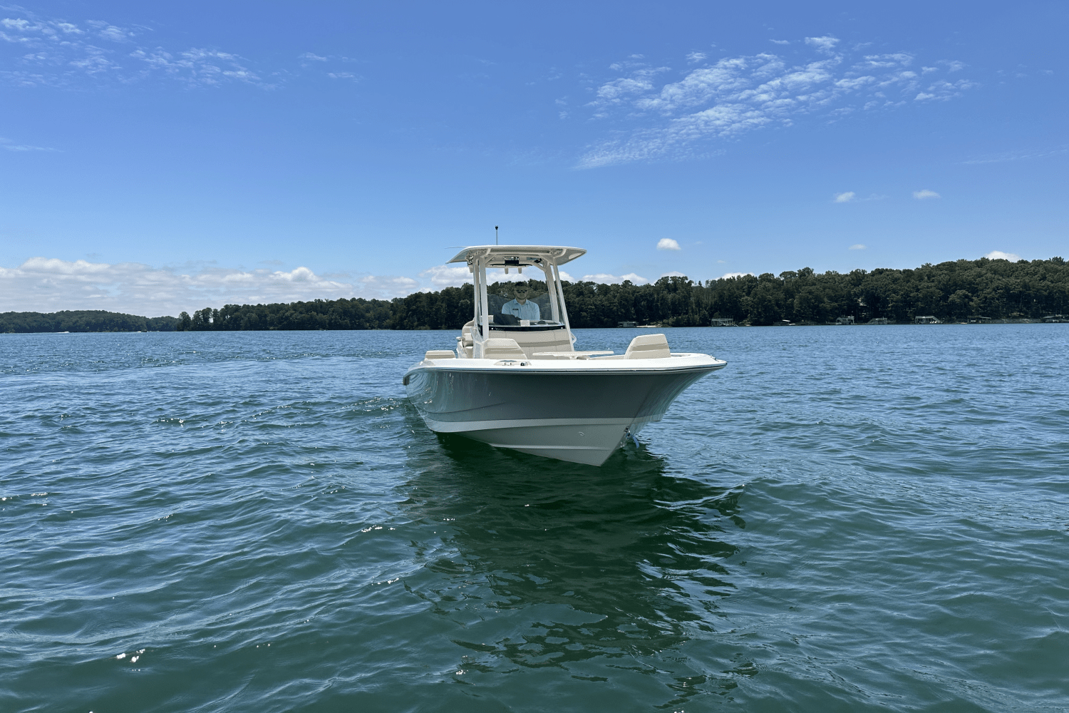 2025 Boston Whaler 250 Dauntless Image Thumbnail #5