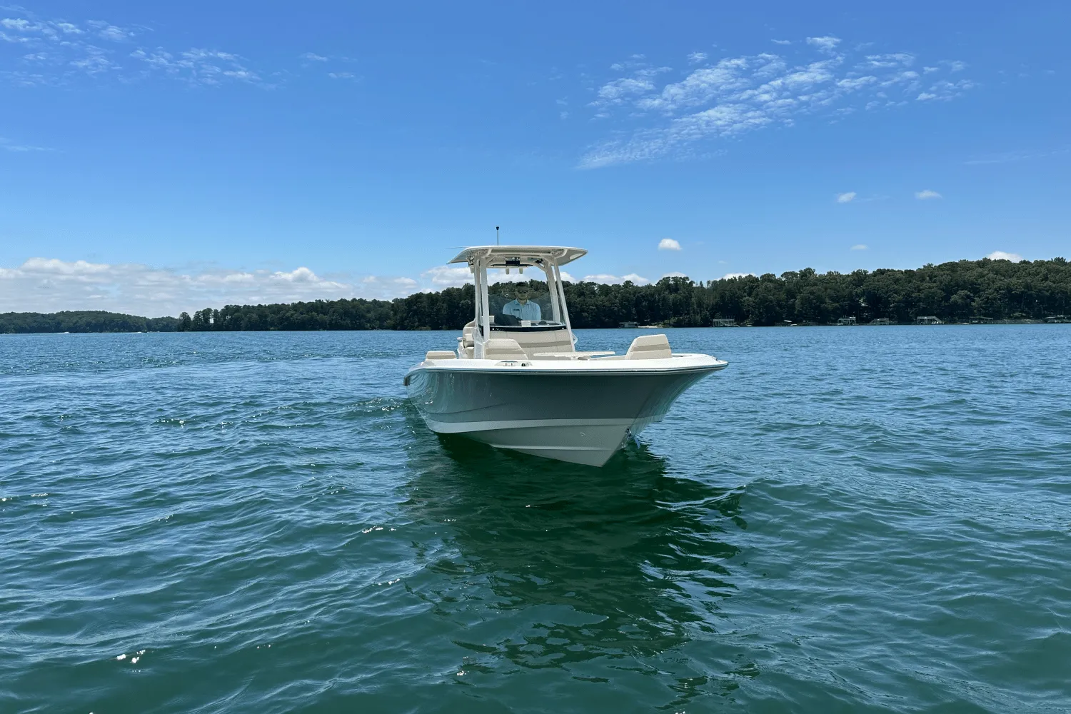 2025 Boston Whaler 250 Dauntless Image Thumbnail #5