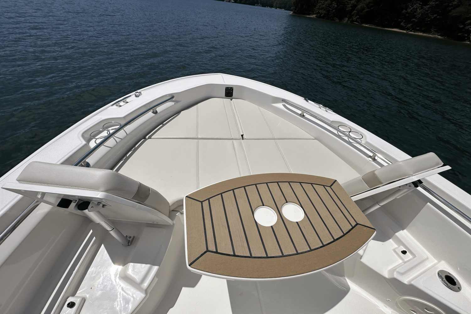 2025 Boston Whaler 250 Dauntless Image Thumbnail #17