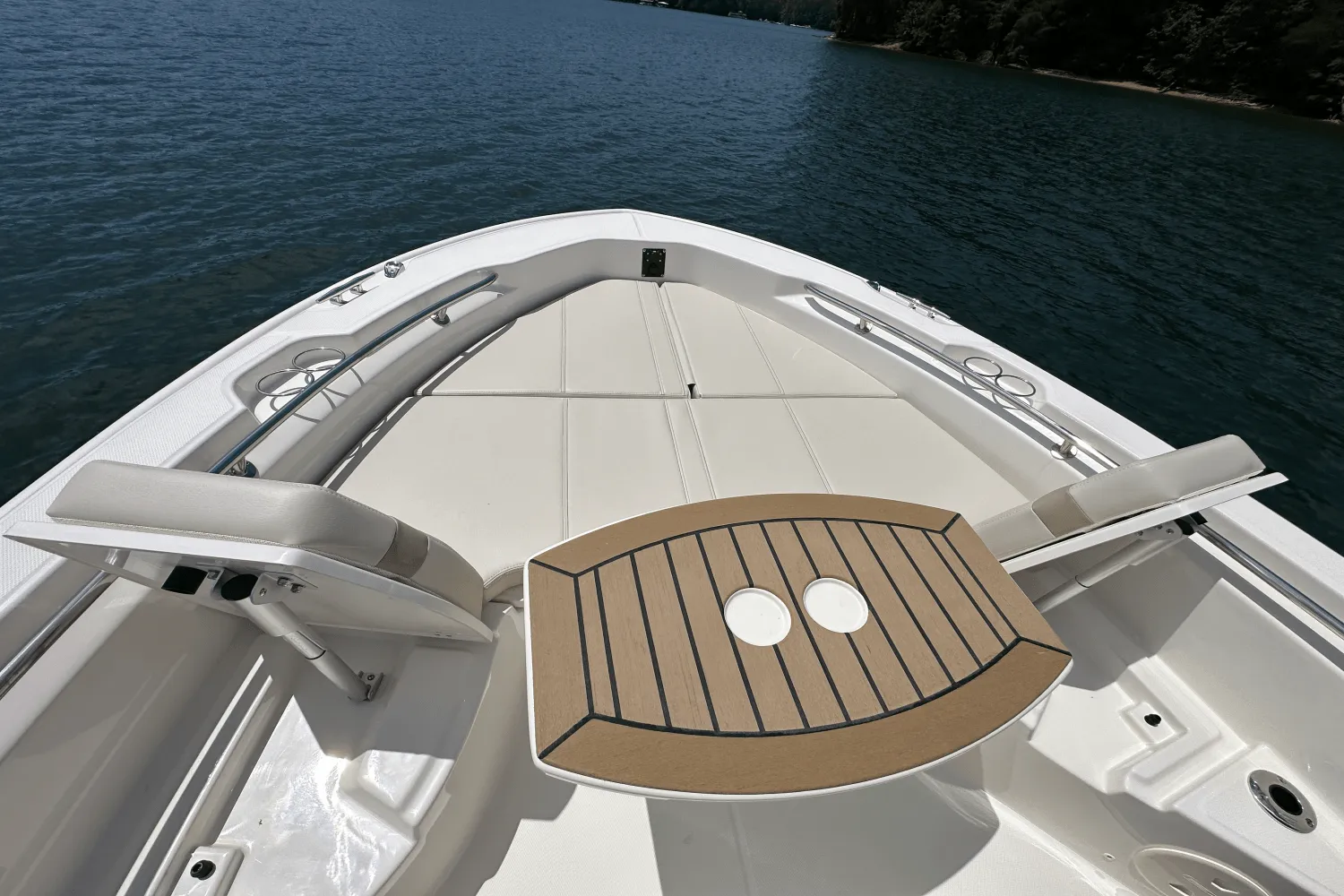 2025 Boston Whaler 250 Dauntless Image Thumbnail #17