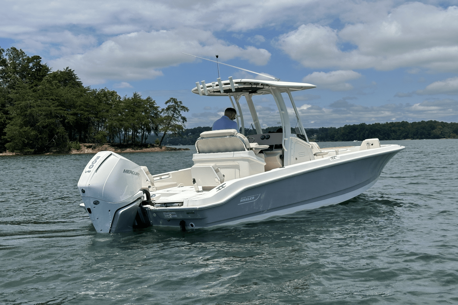 2025 Boston Whaler 250 Dauntless Image Thumbnail #10