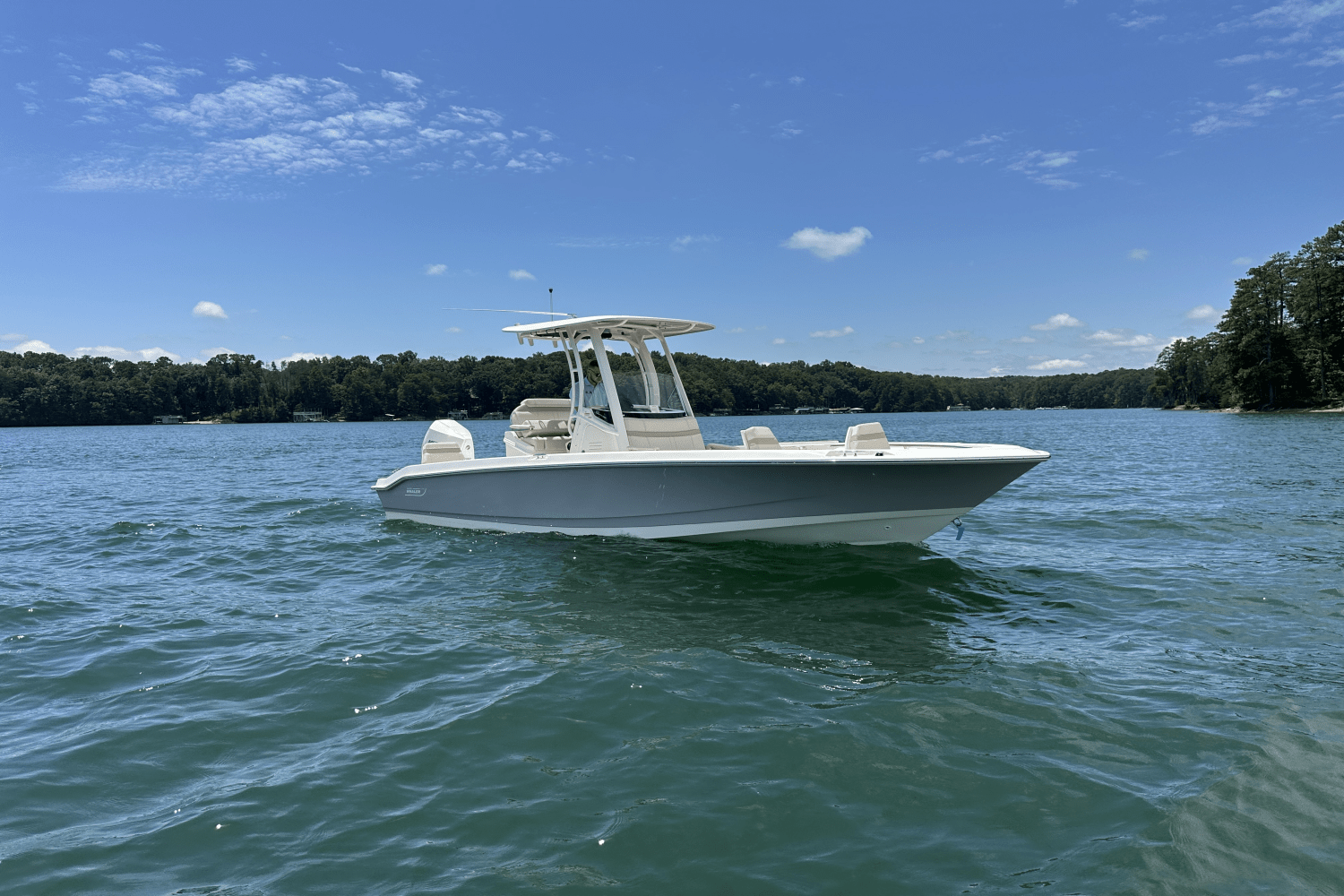 2025 Boston Whaler 250 Dauntless Image Thumbnail #6