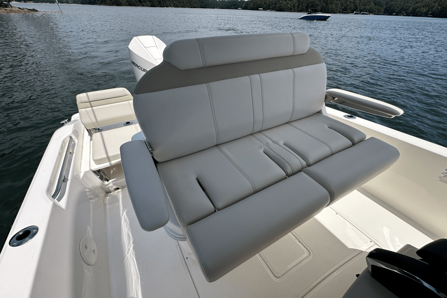 2025 Boston Whaler 250 Dauntless Image Thumbnail #28