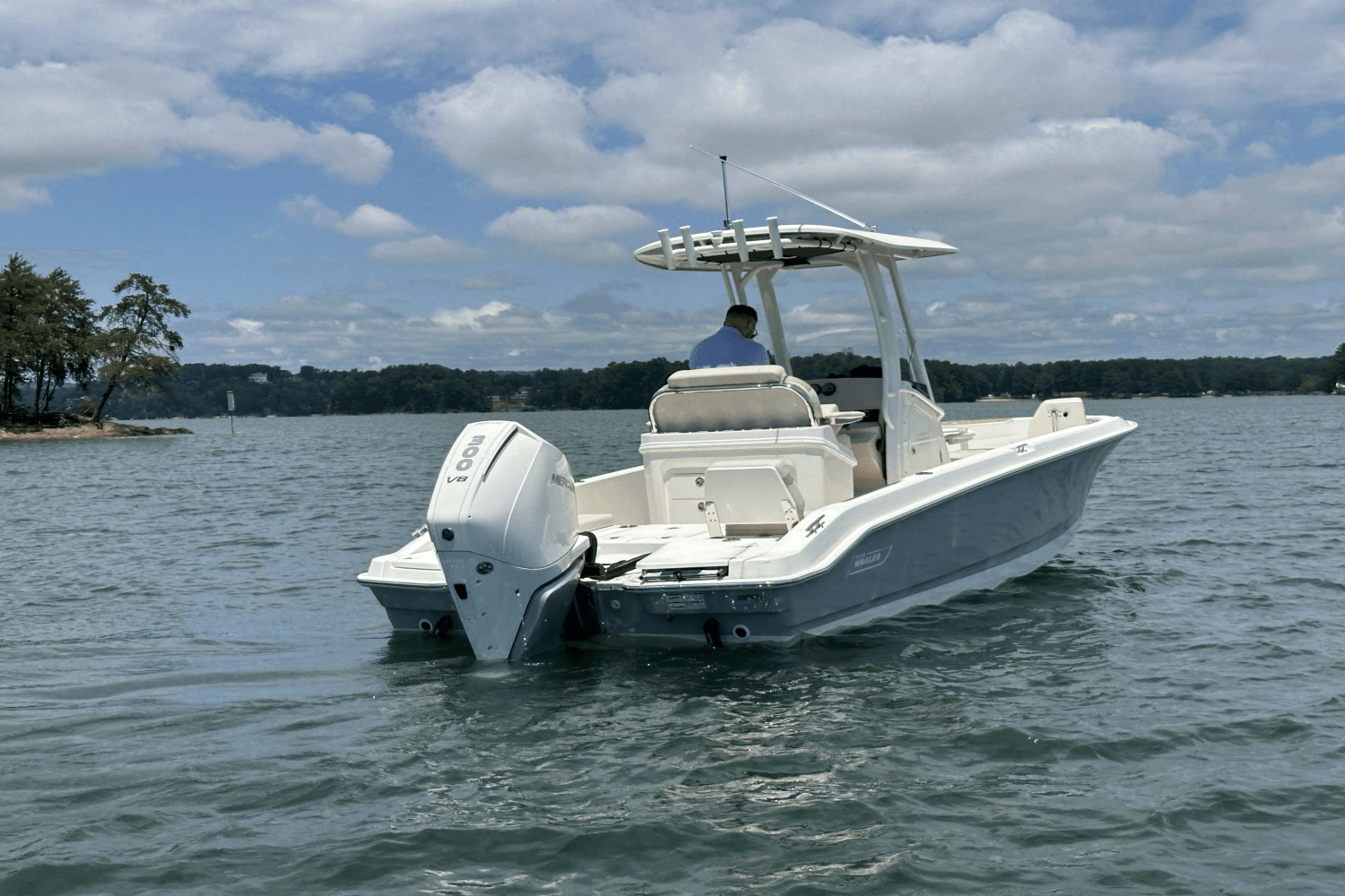 2025 Boston Whaler 250 Dauntless Image Thumbnail #11