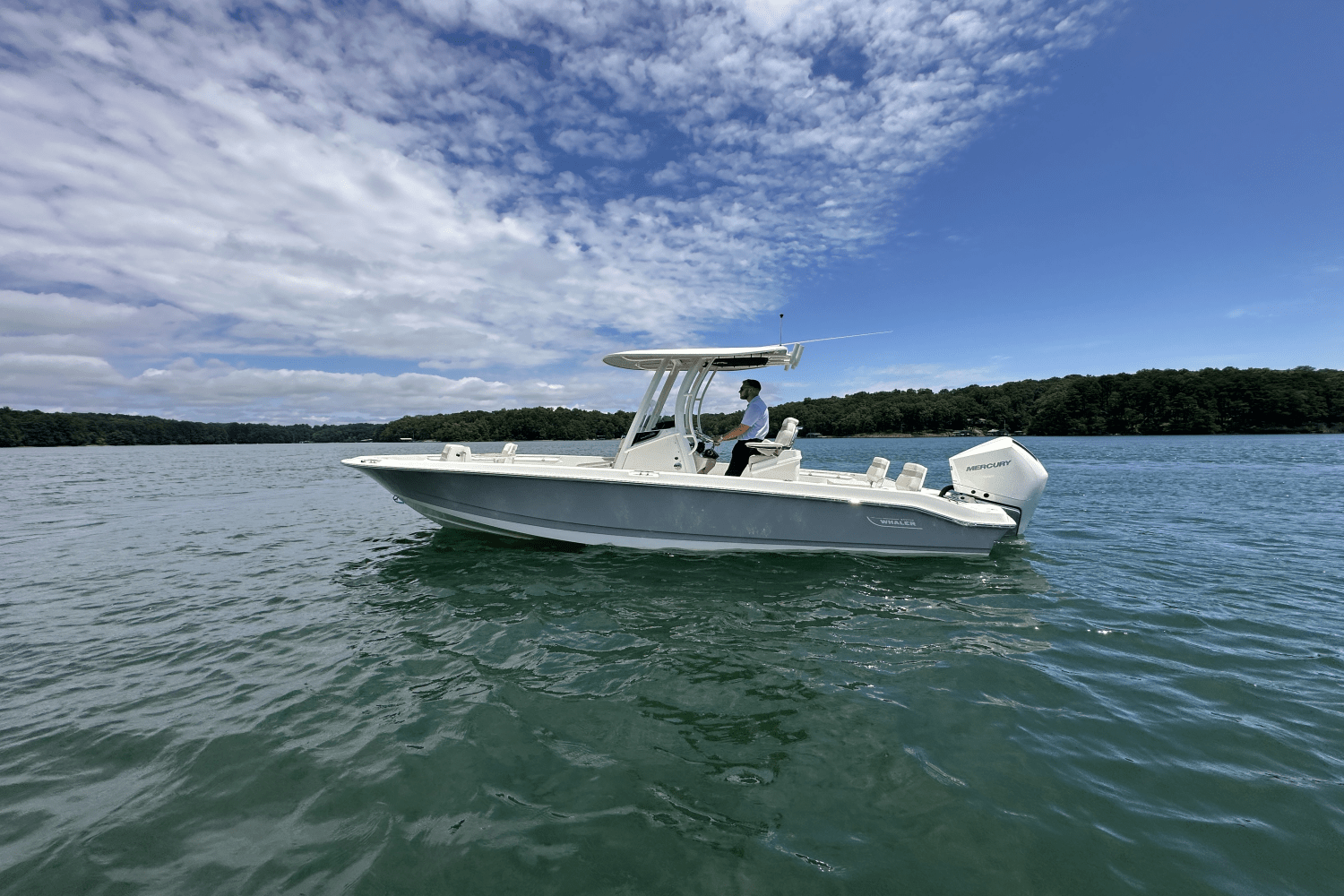 2025 Boston Whaler 250 Dauntless Image Thumbnail #14
