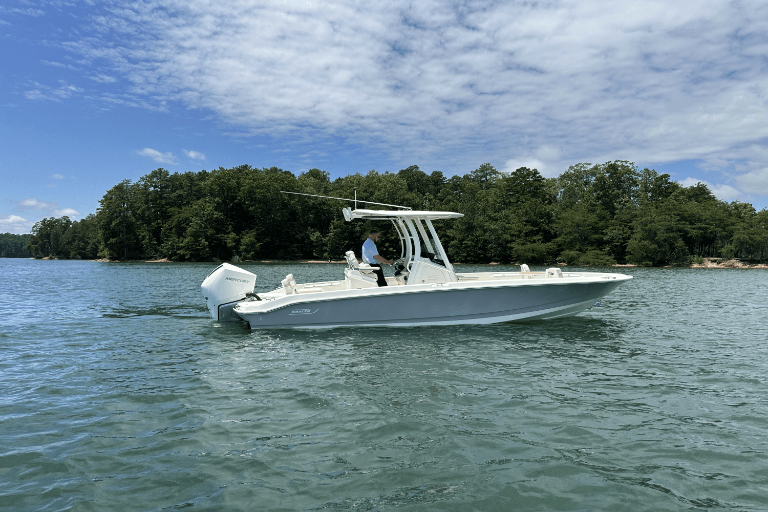 2025 Boston Whaler 250 Dauntless Image Thumbnail #8