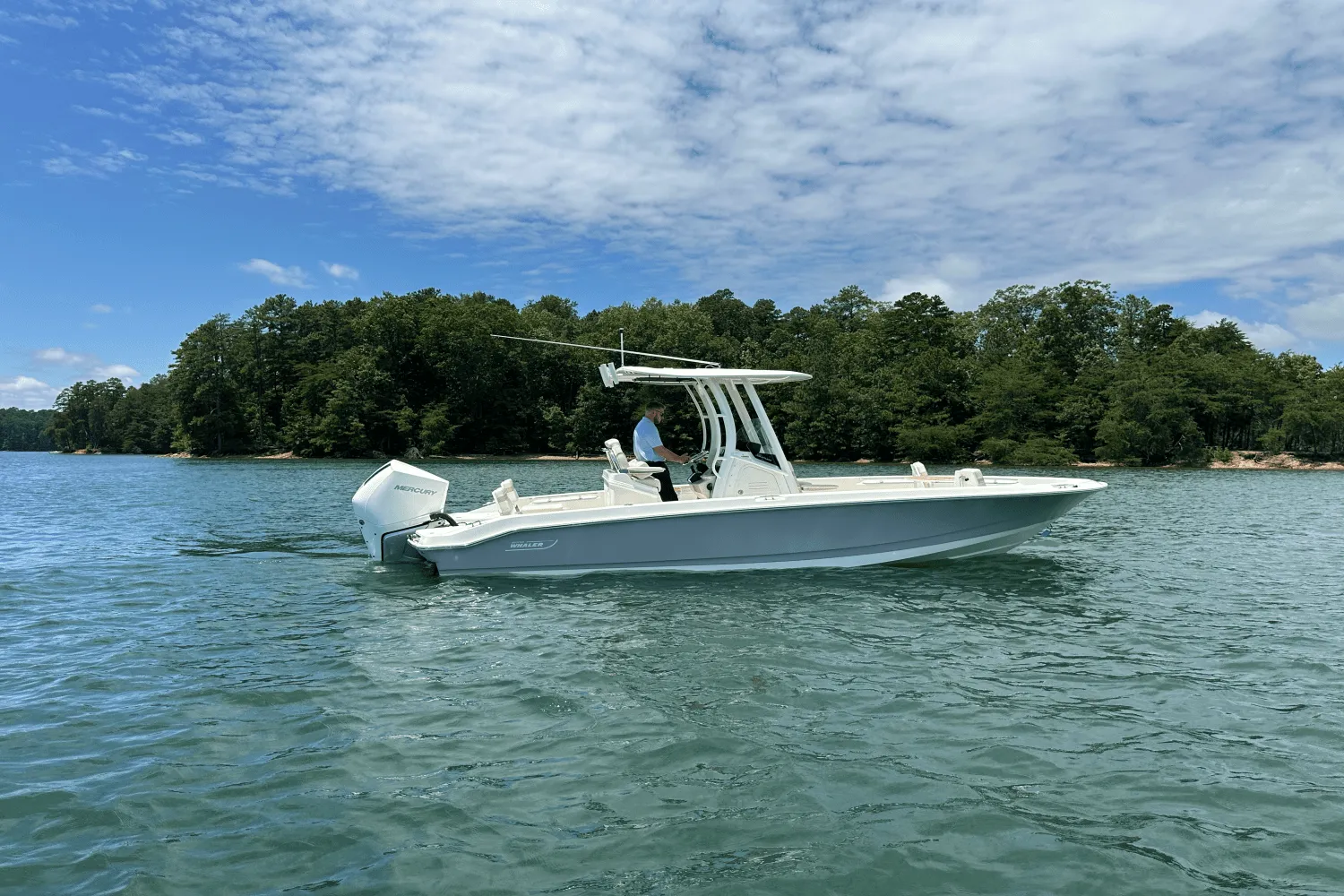 2025 Boston Whaler 250 Dauntless Image Thumbnail #8