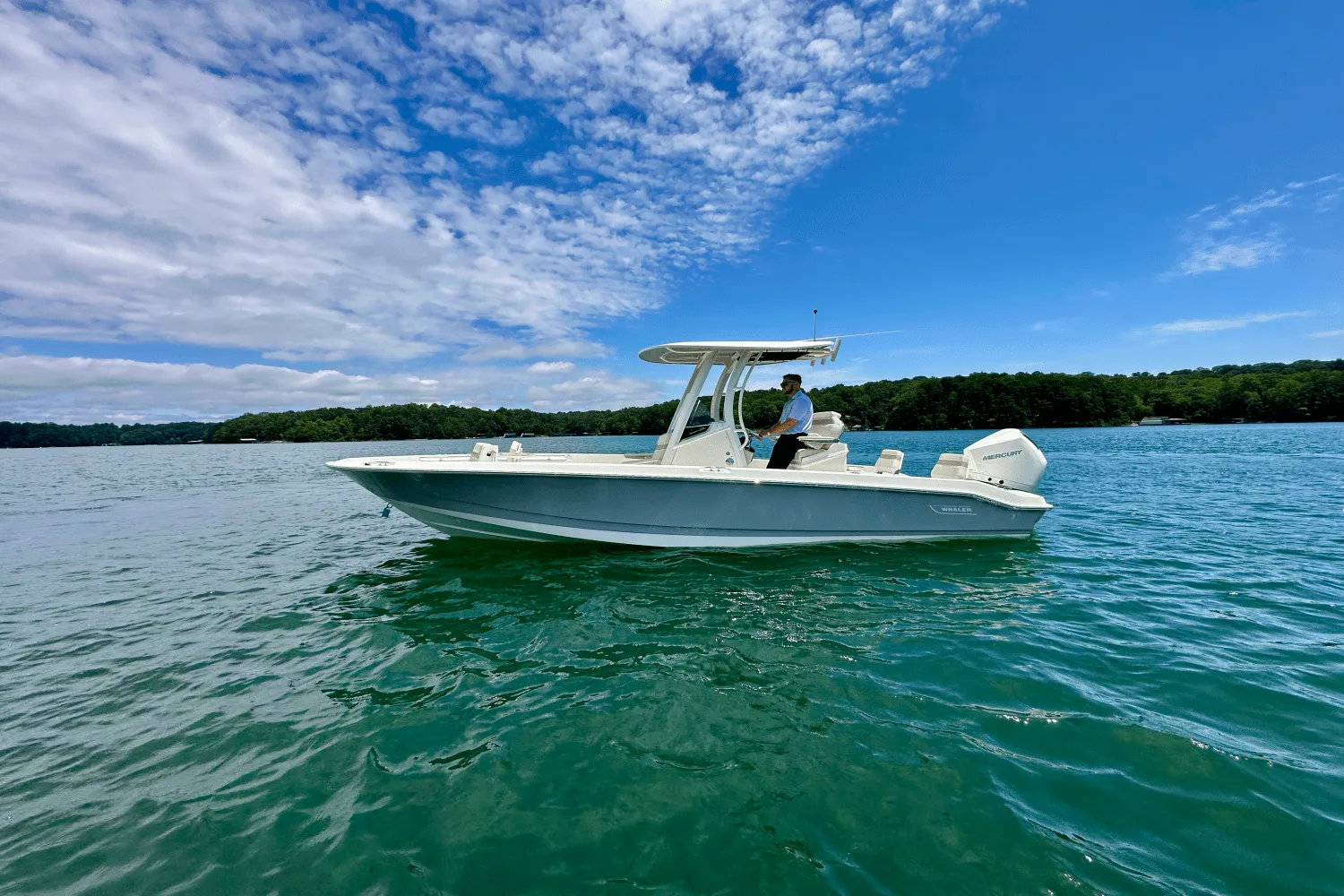 2025 Boston Whaler 250 Dauntless Image Thumbnail #0