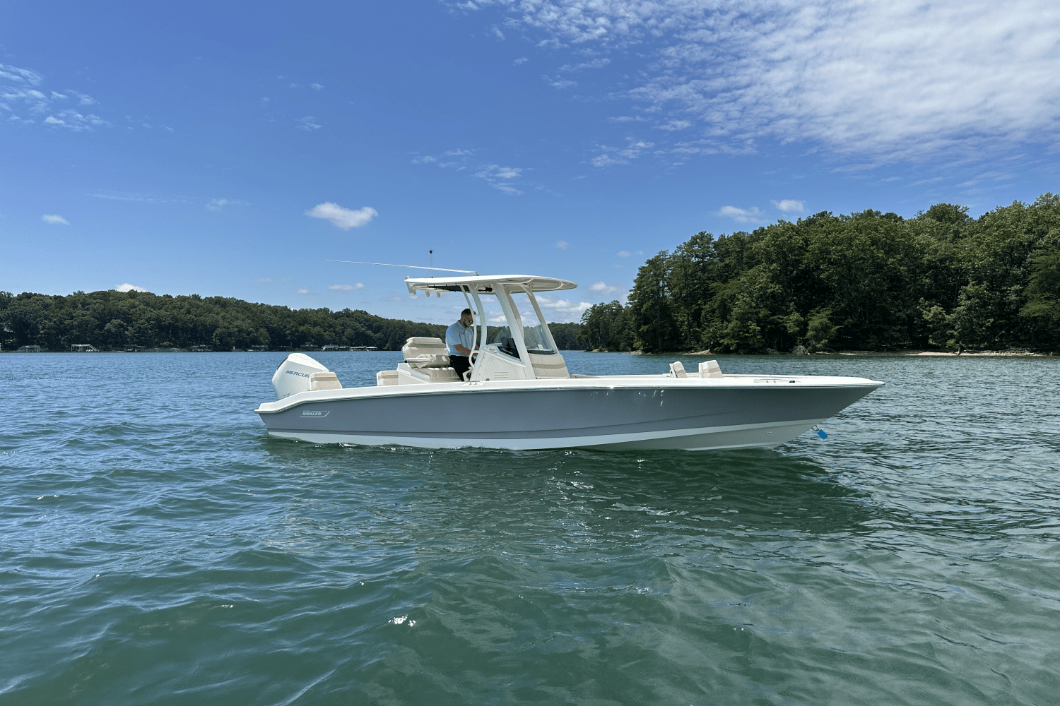 2025 Boston Whaler 250 Dauntless Image Thumbnail #7