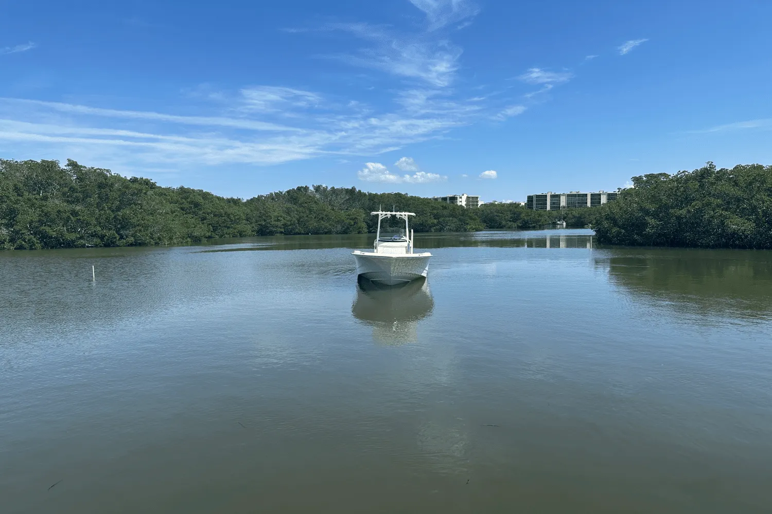 2025 Boston Whaler 250 Dauntless Image Thumbnail #11