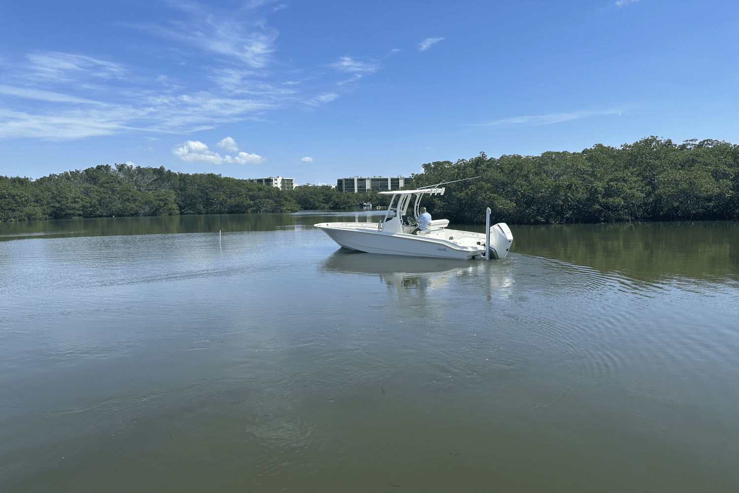 2025 Boston Whaler 250 Dauntless Image Thumbnail #6