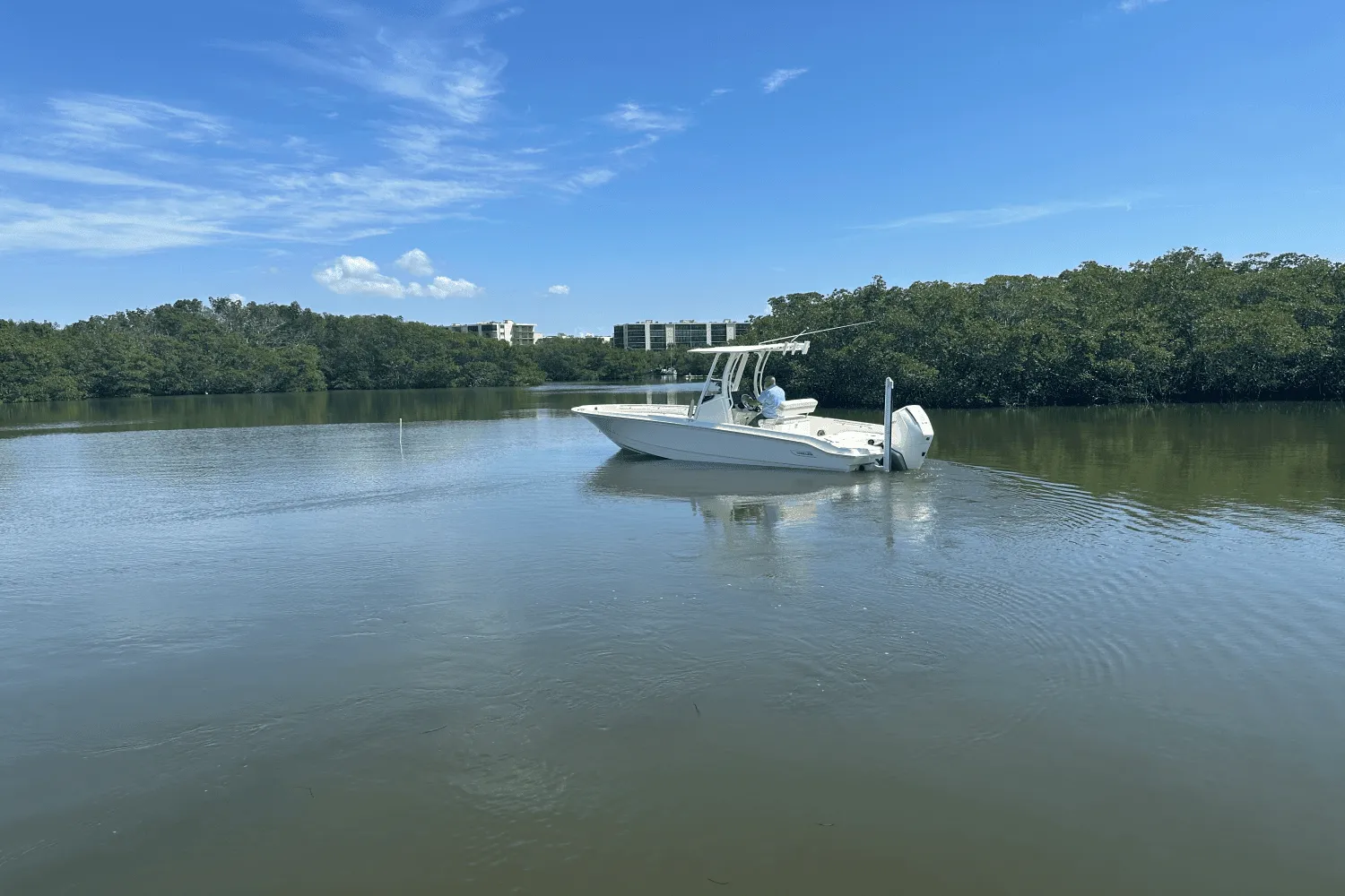 2025 Boston Whaler 250 Dauntless Image Thumbnail #6