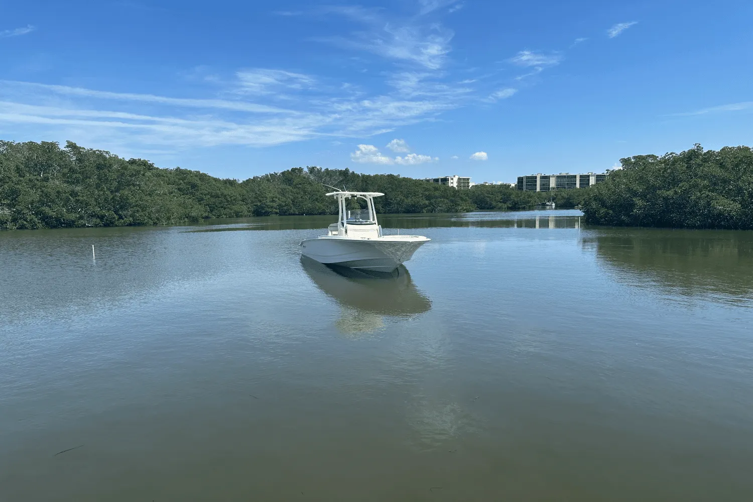 2025 Boston Whaler 250 Dauntless Image Thumbnail #12