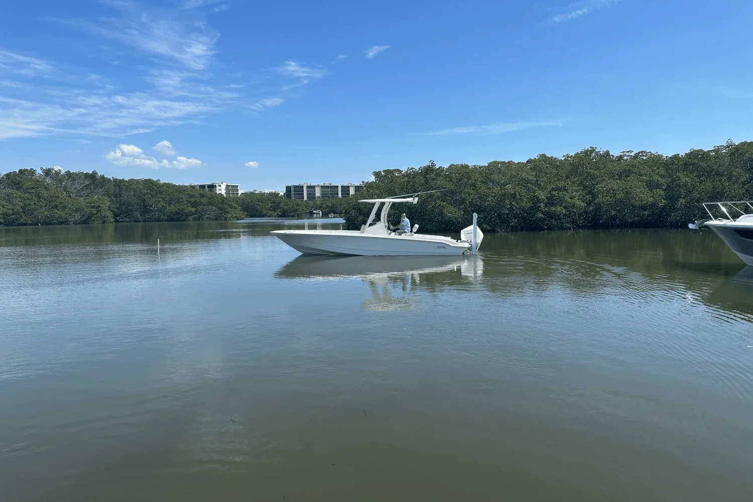 2025 Boston Whaler 250 Dauntless Image Thumbnail #7