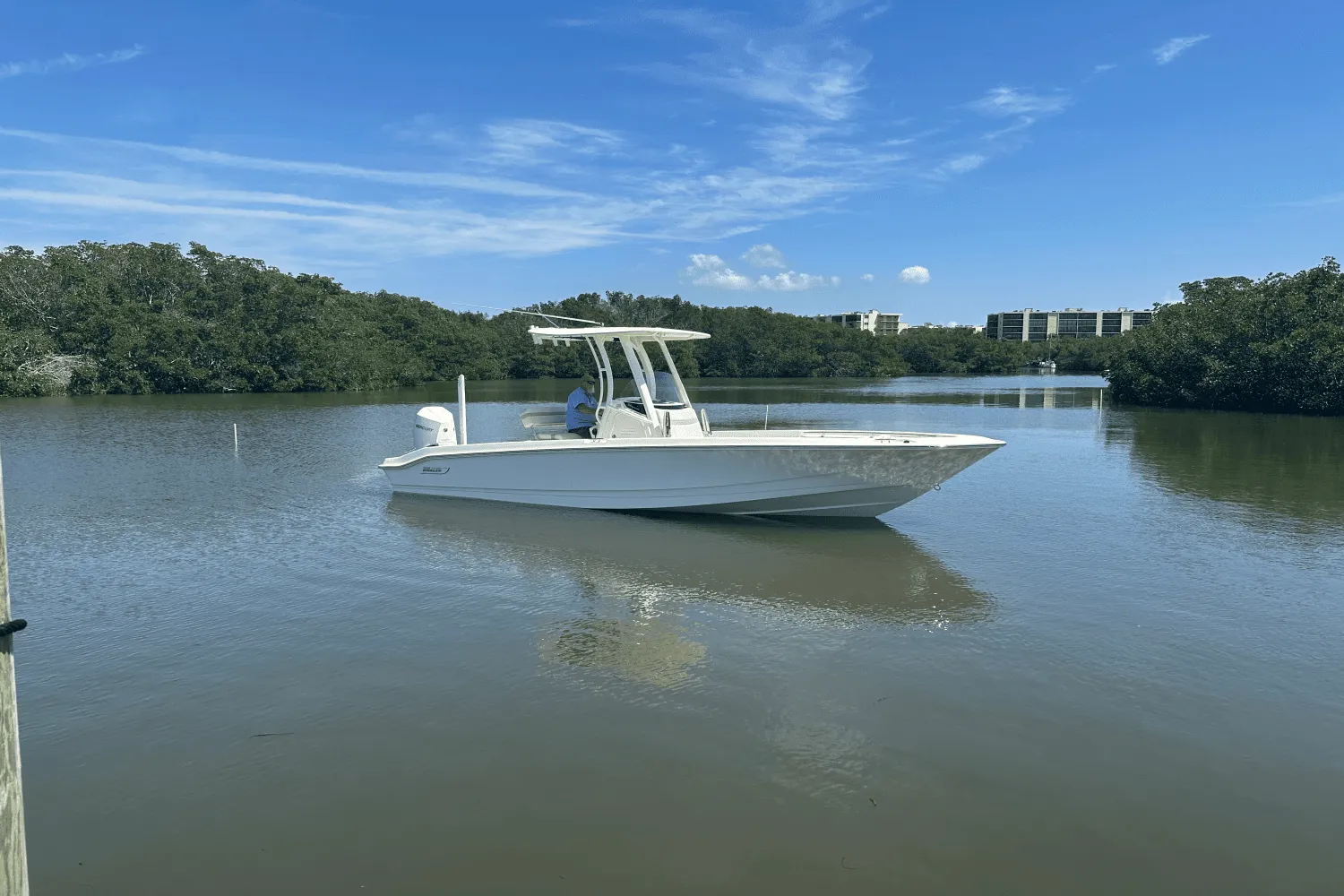2025 Boston Whaler 250 Dauntless Image Thumbnail #0