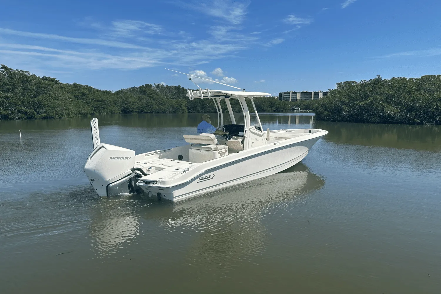 2025 Boston Whaler 250 Dauntless Image Thumbnail #1