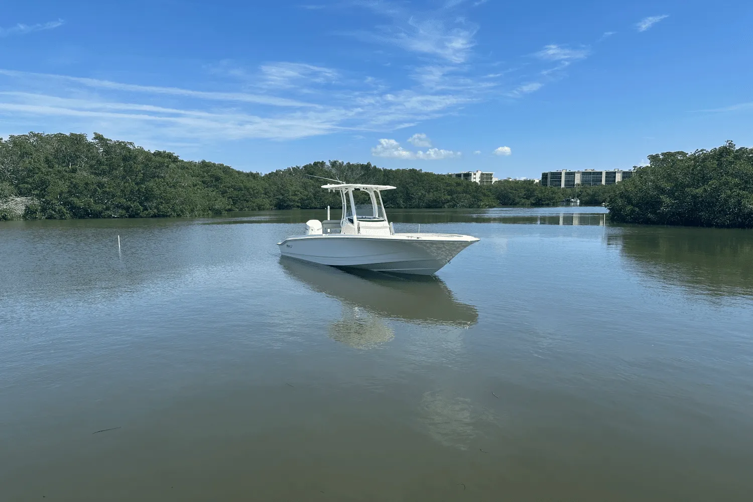 2025 Boston Whaler 250 Dauntless Image Thumbnail #13