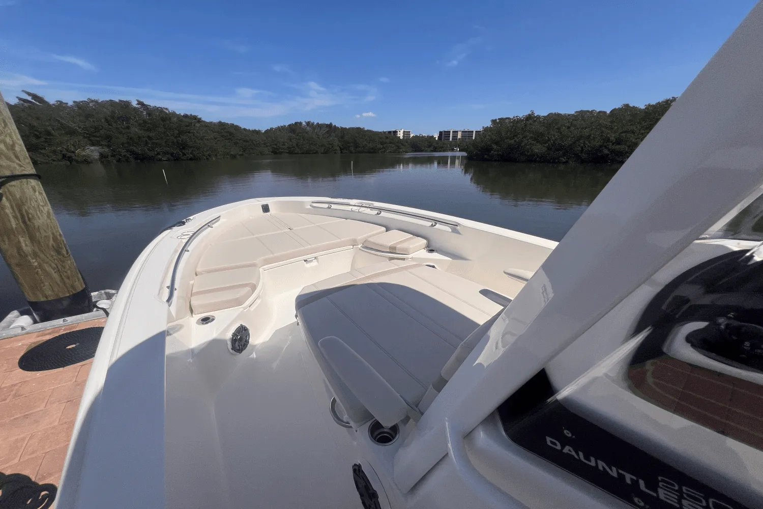 2025 Boston Whaler 250 Dauntless Image Thumbnail #25