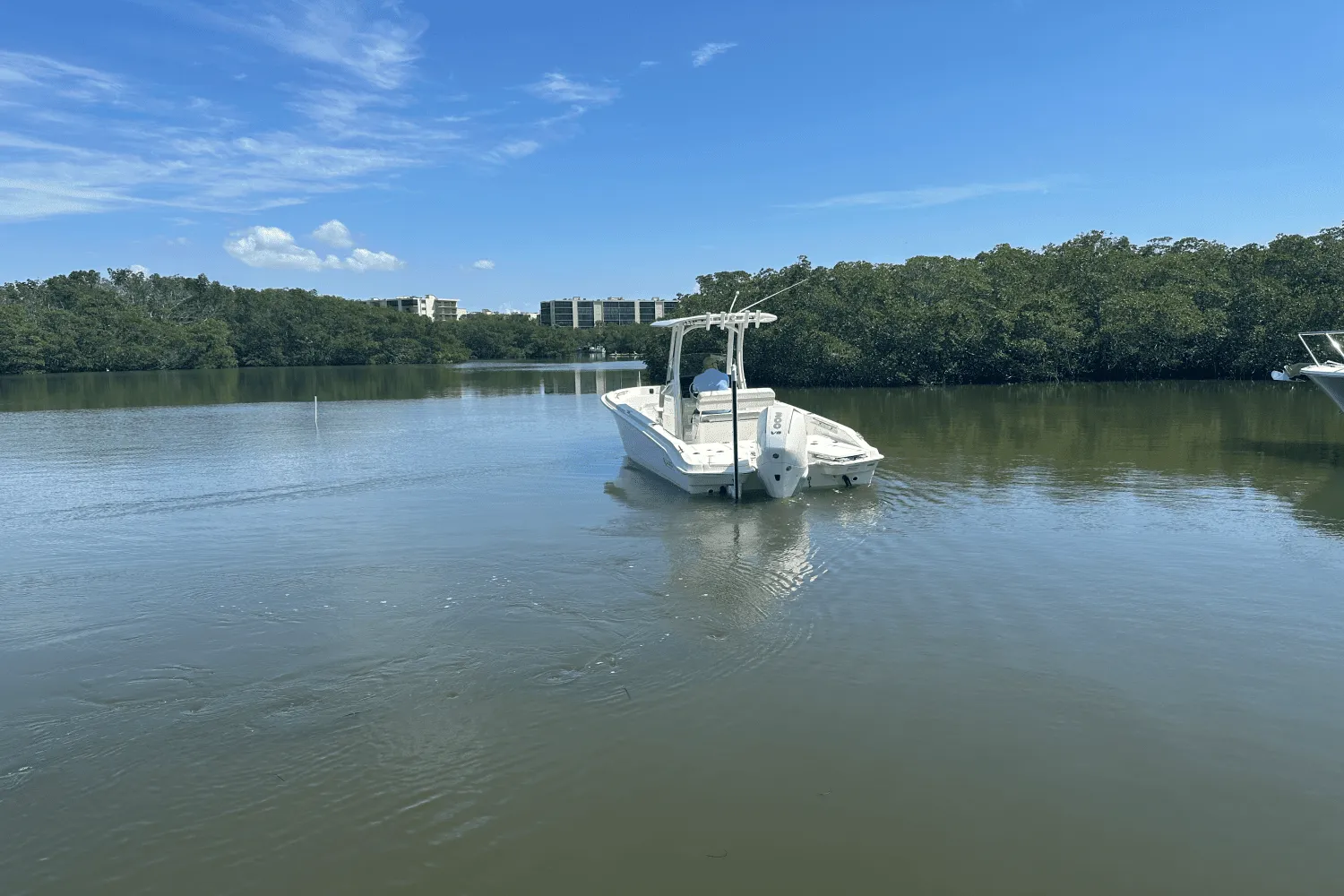 2025 Boston Whaler 250 Dauntless Image Thumbnail #4