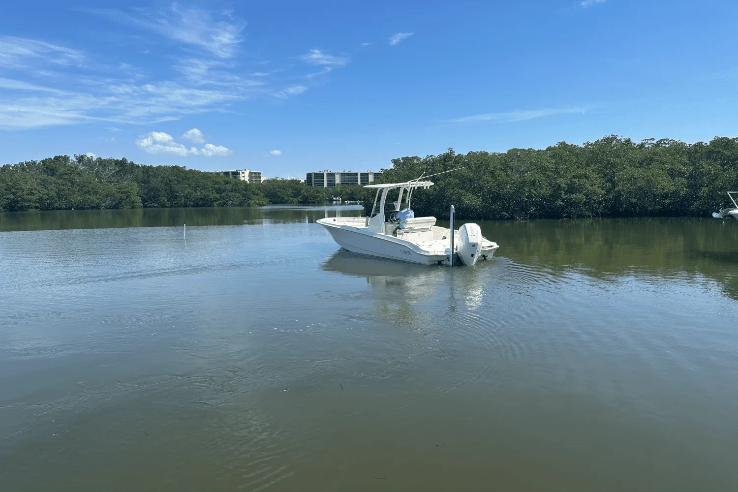 2025 Boston Whaler 250 Dauntless Image Thumbnail #5