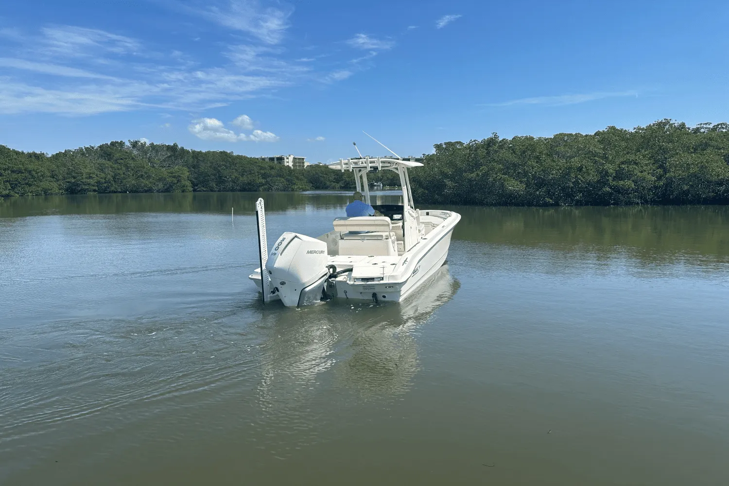 2025 Boston Whaler 250 Dauntless Image Thumbnail #2