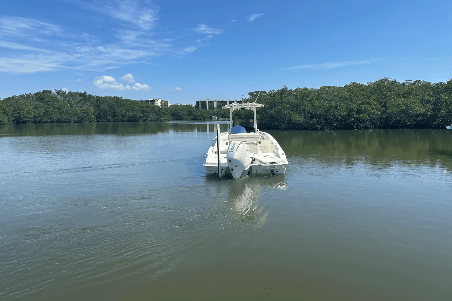 2025 Boston Whaler 250 Dauntless Image Thumbnail #3