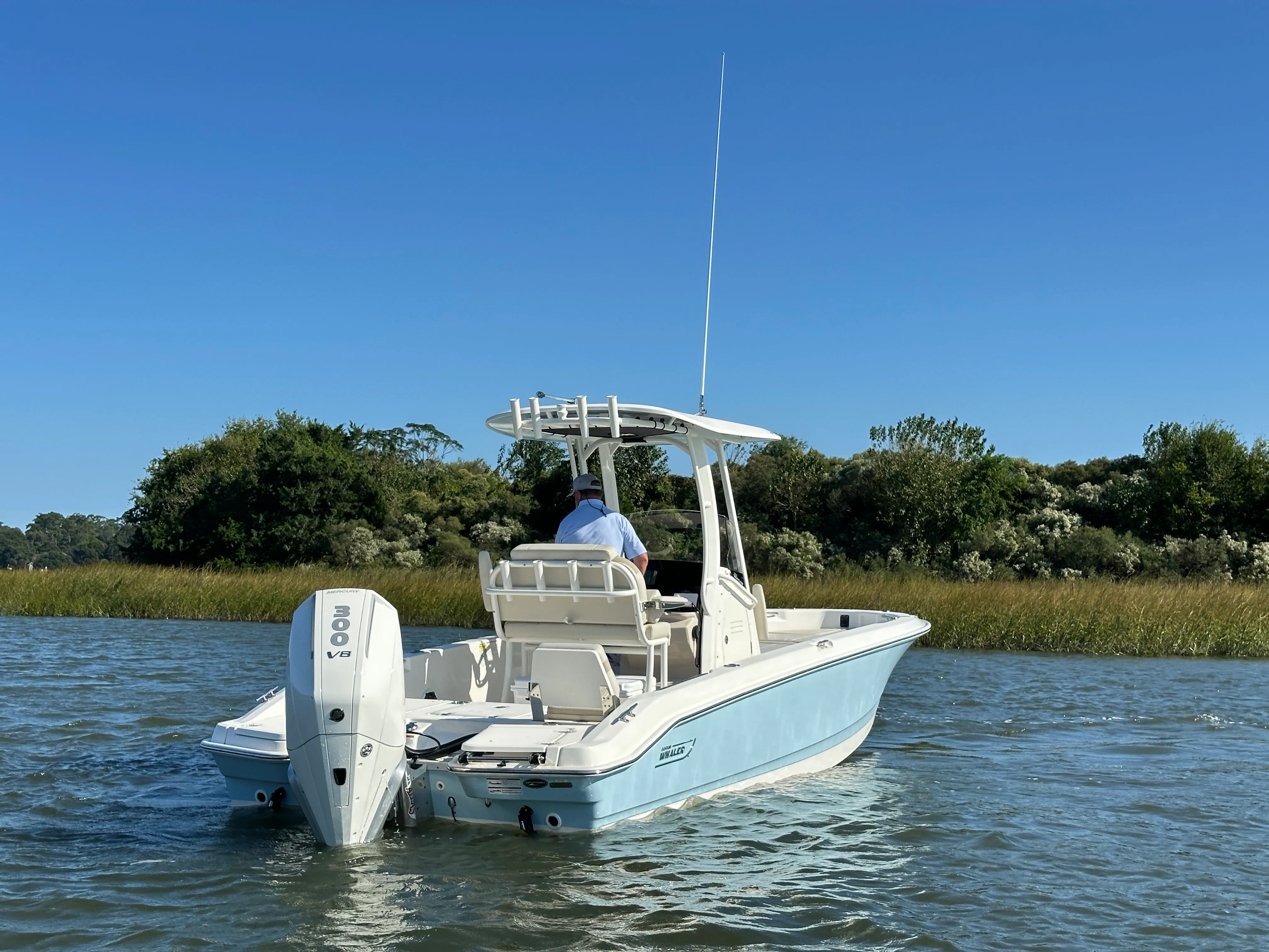 2025 Boston Whaler 250 Dauntless Image Thumbnail #2