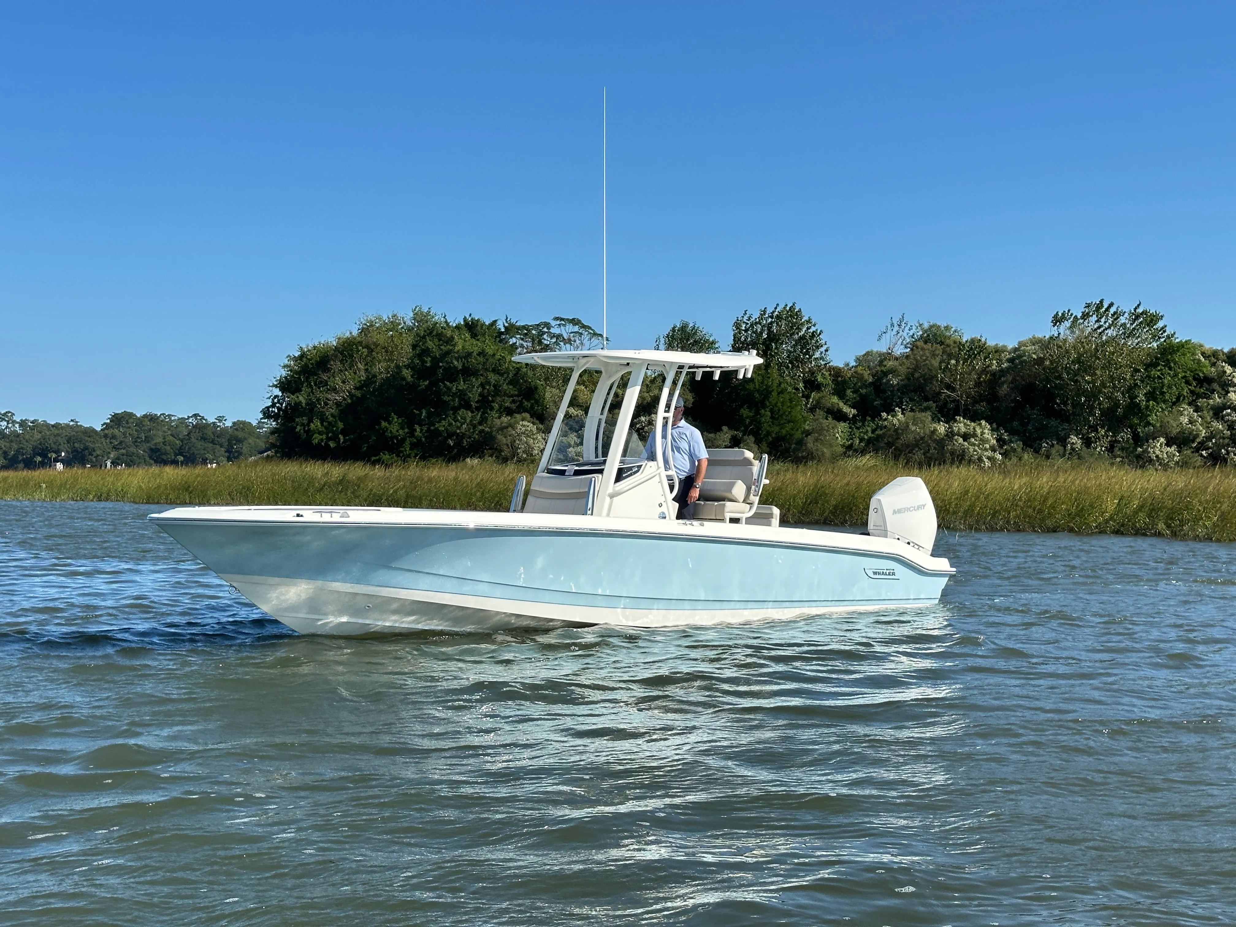 2025 Boston Whaler 250 Dauntless Image Thumbnail #6