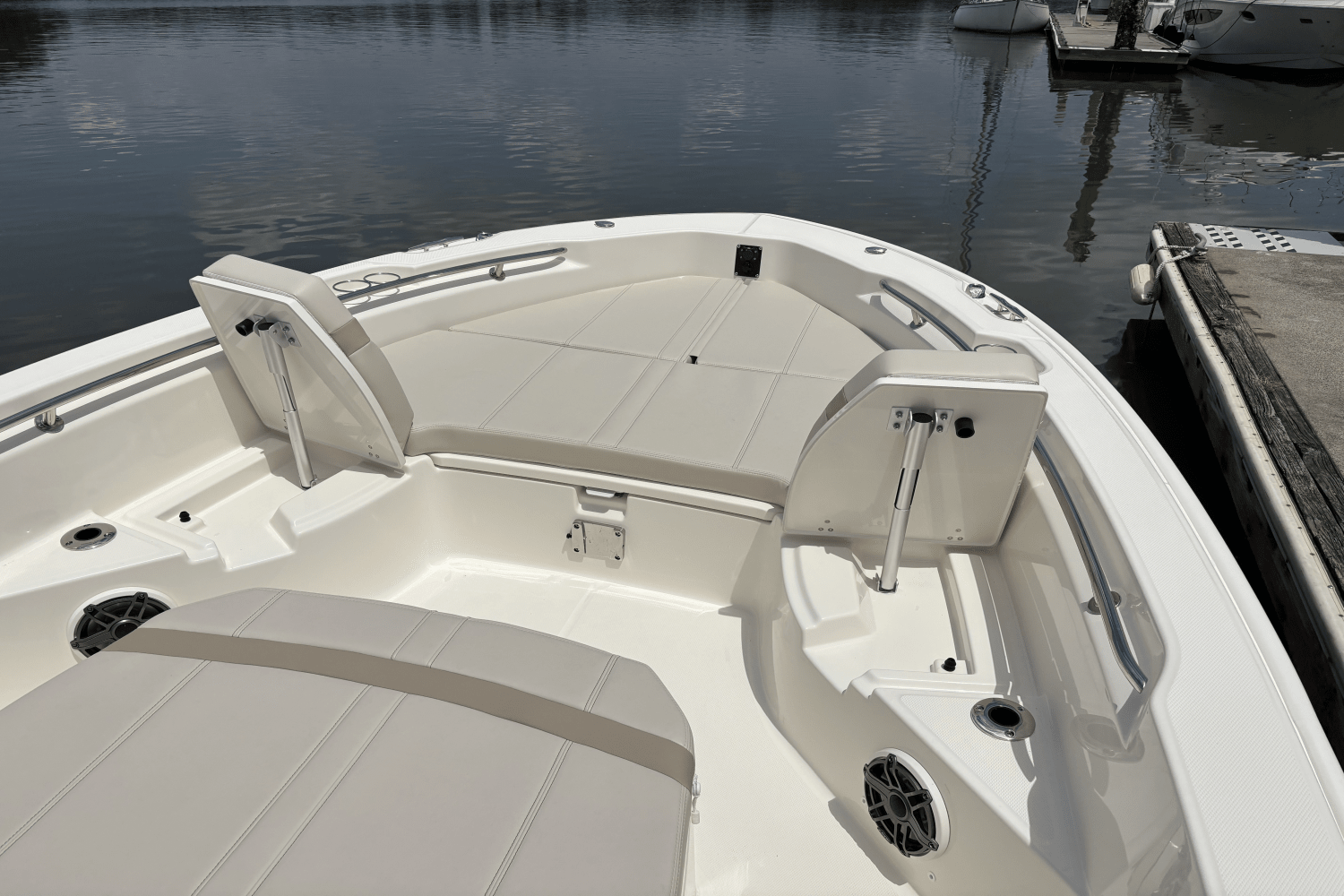 2025 Boston Whaler 250 Dauntless Image Thumbnail #22