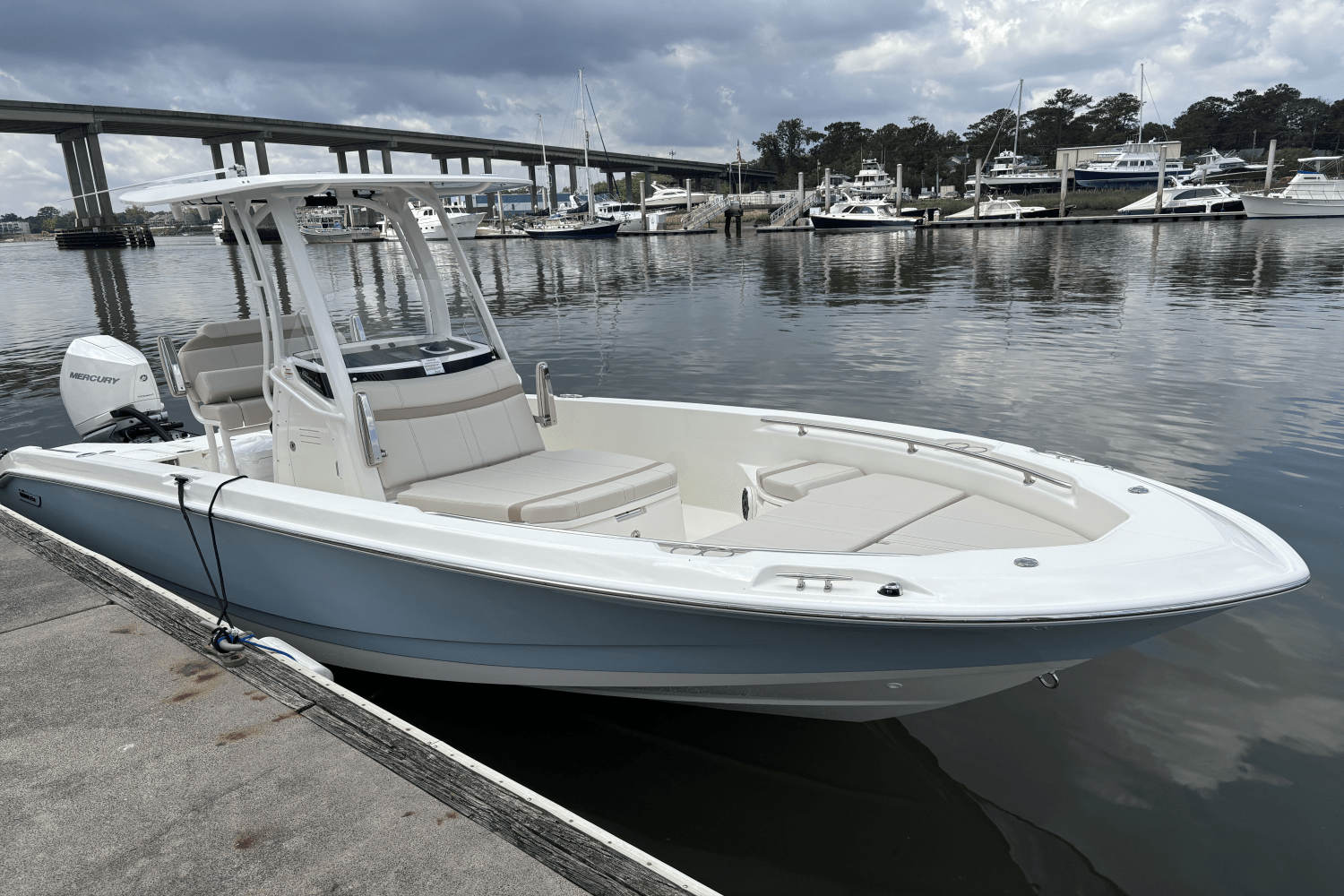 2025 Boston Whaler 250 Dauntless Image Thumbnail #2